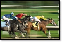 aprire un sito di scommesse sportive