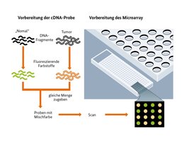 Auf einem DNA-Chip können zum Beispiel Infektionskrankheiten schnell und verlässlich diagnostiziert werden. Bild zeigt: Schematische Darstellung eines DNA-Chips